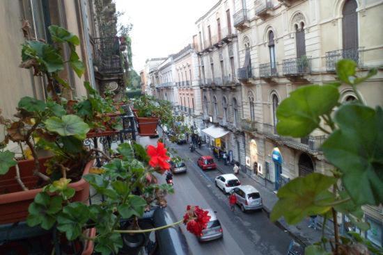 Gli Di Palazzo Umberto I * Catania