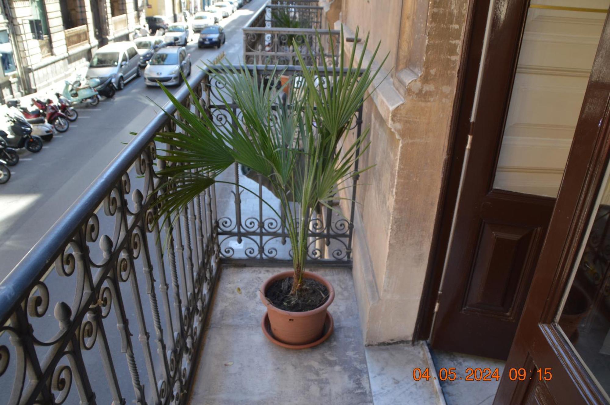 Gli Di Palazzo Umberto I Apartment CTA